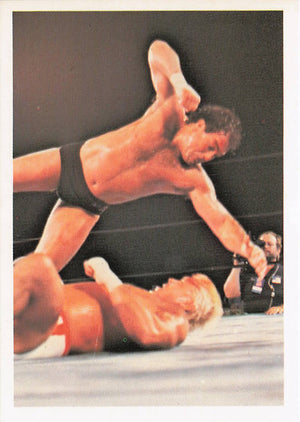 Tully Blanchard – 1988 Wonderama NWA Wrestling Card #202