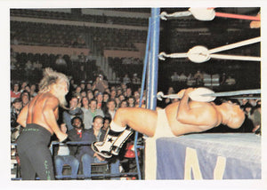 Jimmy Valiant – 1988 Wonderama NWA Wrestling Card #201