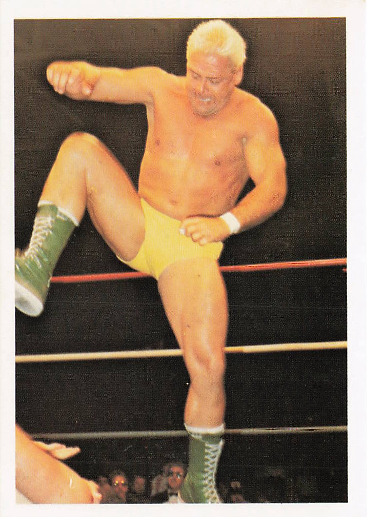 Ron Garvin 1988 Wonderama NWA Wrestling Card #200 by NECC, front view showing wrestler's action pose and vintage design.