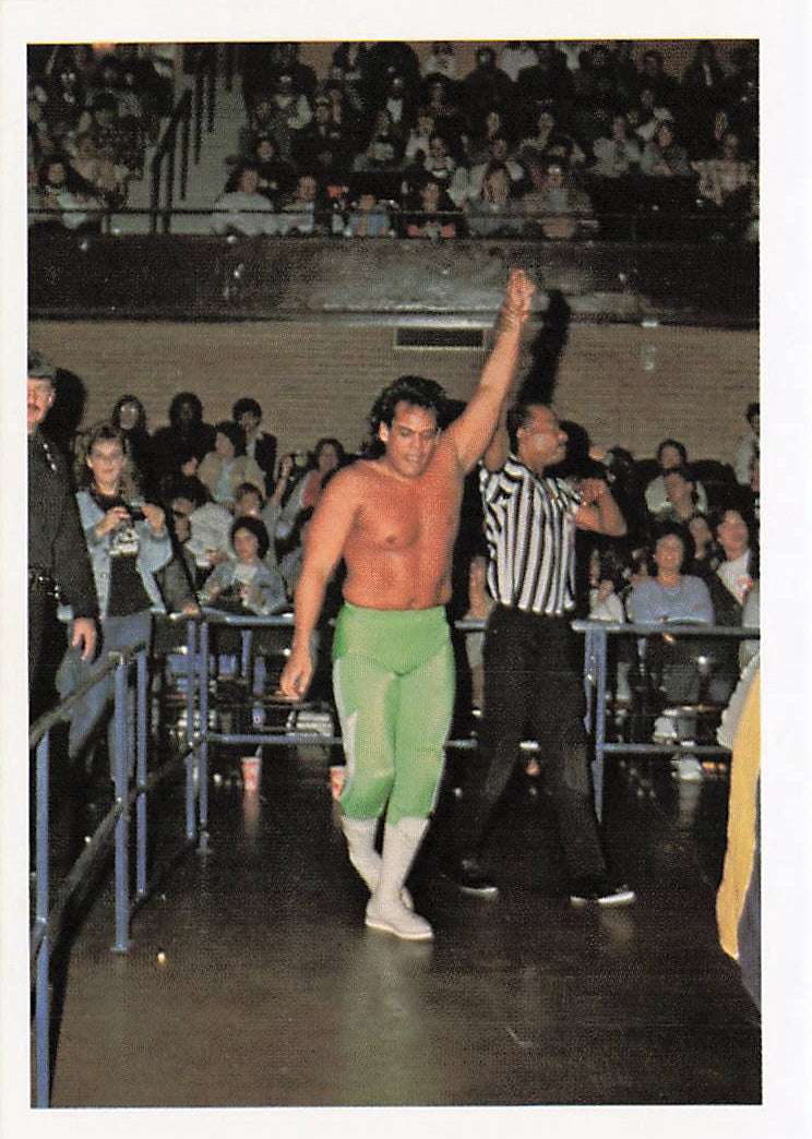 NECC Ricky Santana 1988 Wonderama NWA wrestling card #199 featuring wrestler Ricky Santana in a dynamic pose.