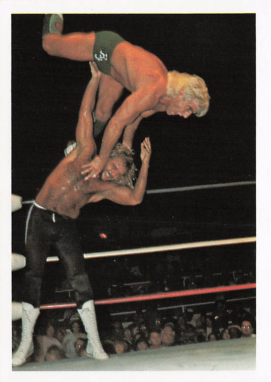 NECC wrestling card featuring Michael Hayes versus Ric Flair from the 1988 Wonderama NWA Wrestling Card series.