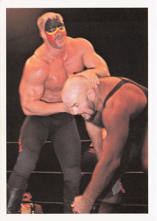 NECC Road Warriors wrestling card from 1988 Wonderama NWA series, featuring the iconic wrestling duo on the front.