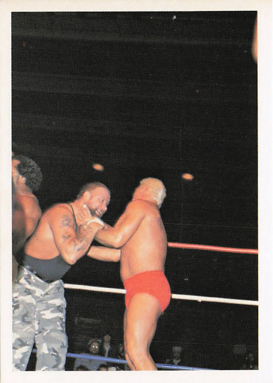 NECC Luke Williams 1988 Wonderama NWA Wrestling Card #256, vintage wrestling collectible featuring wrestler image and card details.