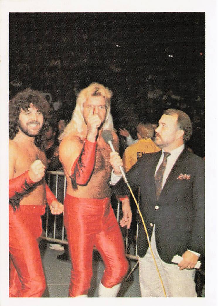 Jimmy Garvin and Michael Hayes wrestling card from 1988 Wonderama NWA, NECC wrestling collectible, front view of the card.
