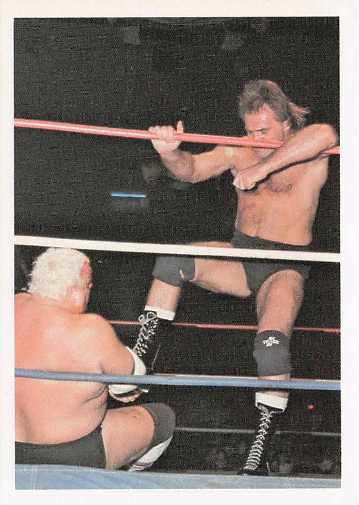 NECC wrestling card featuring Larry Zbyszko vs Dusty Rhodes from the 1988 Wonderama NWA Wrestling Card #336.