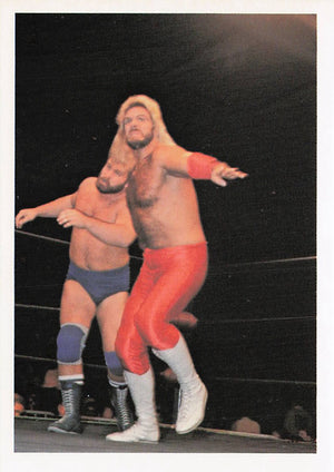 Michael Hayes – 1988 Wonderama NWA Wrestling Card #322