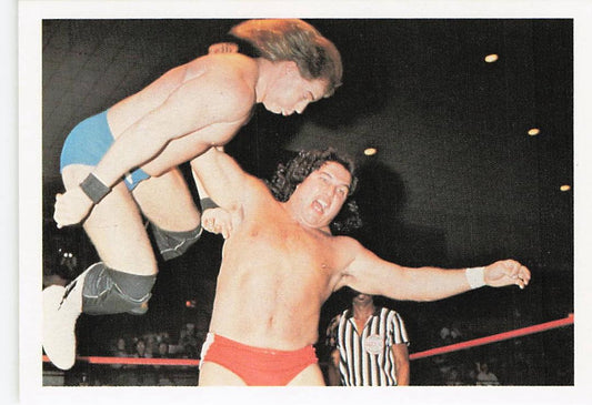 Italian Stallion wrestling card from 1988 Wonderama NWA Wrestling Cards by NECC, front view featuring the collectible card.
