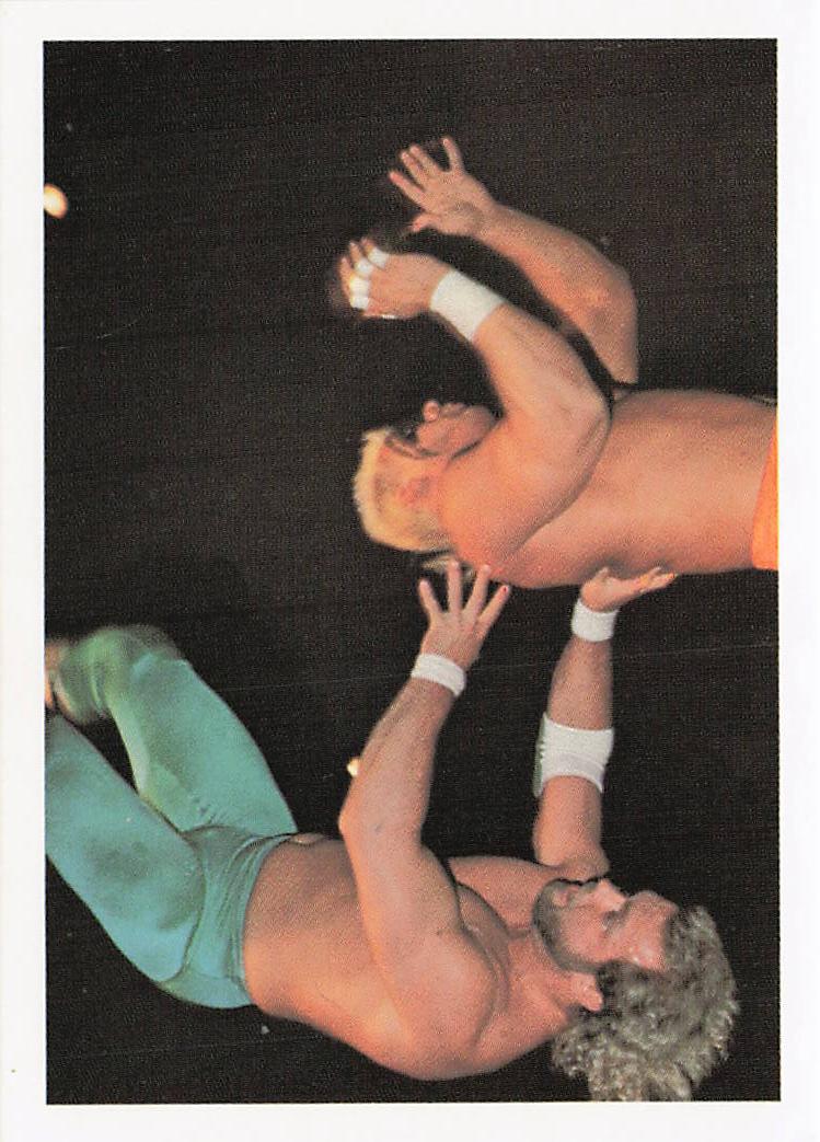 NECC wrestling card featuring Sting vs Eddie Gilbert from 1988 Wonderama NWA Wrestling Card #317. Front view of the collectible card.
