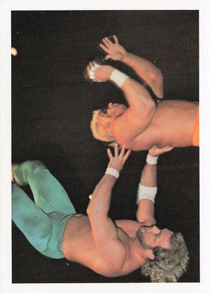 Sting vs Eddie Gilbert – 1988 Wonderama NWA Wrestling Card #317