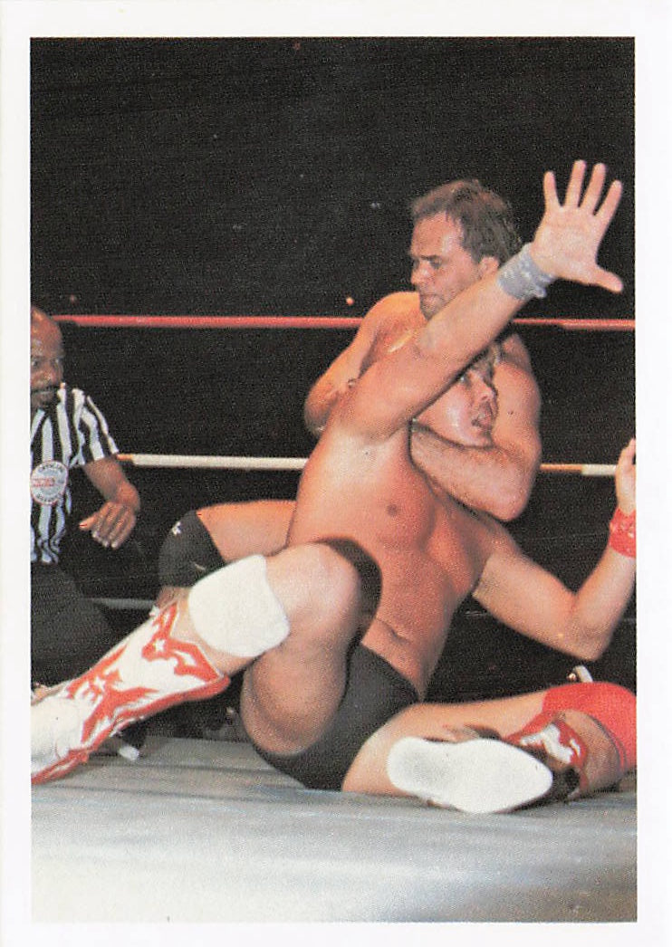 Larry Zbyszko wrestling card from 1988 Wonderama NWA Wrestling Cards series by NECC, front view featuring player image and details.