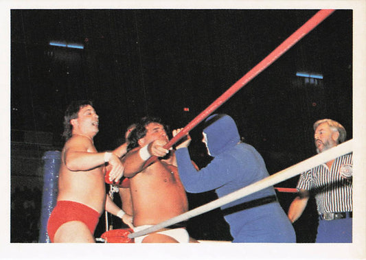 NECC Gladiator #1 1988 Wonderama NWA wrestling card #294 featuring vintage wrestling memorabilia with detailed artwork and branding.