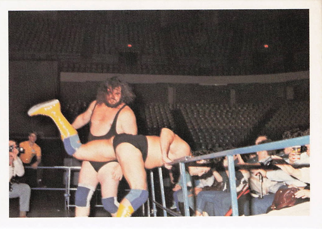 Black Bart 1988 Wonderama NWA wrestling card #293 featuring wrestler Black Bart from NECC in a collectible wrestling card image.