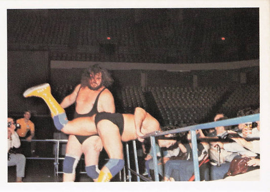 Black Bart – 1988 Wonderama NWA Wrestling Card #293