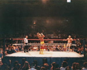Hulk Hogan vs Dino Bravo WWF Spokane August 1990 Wrestling Photo 8x10