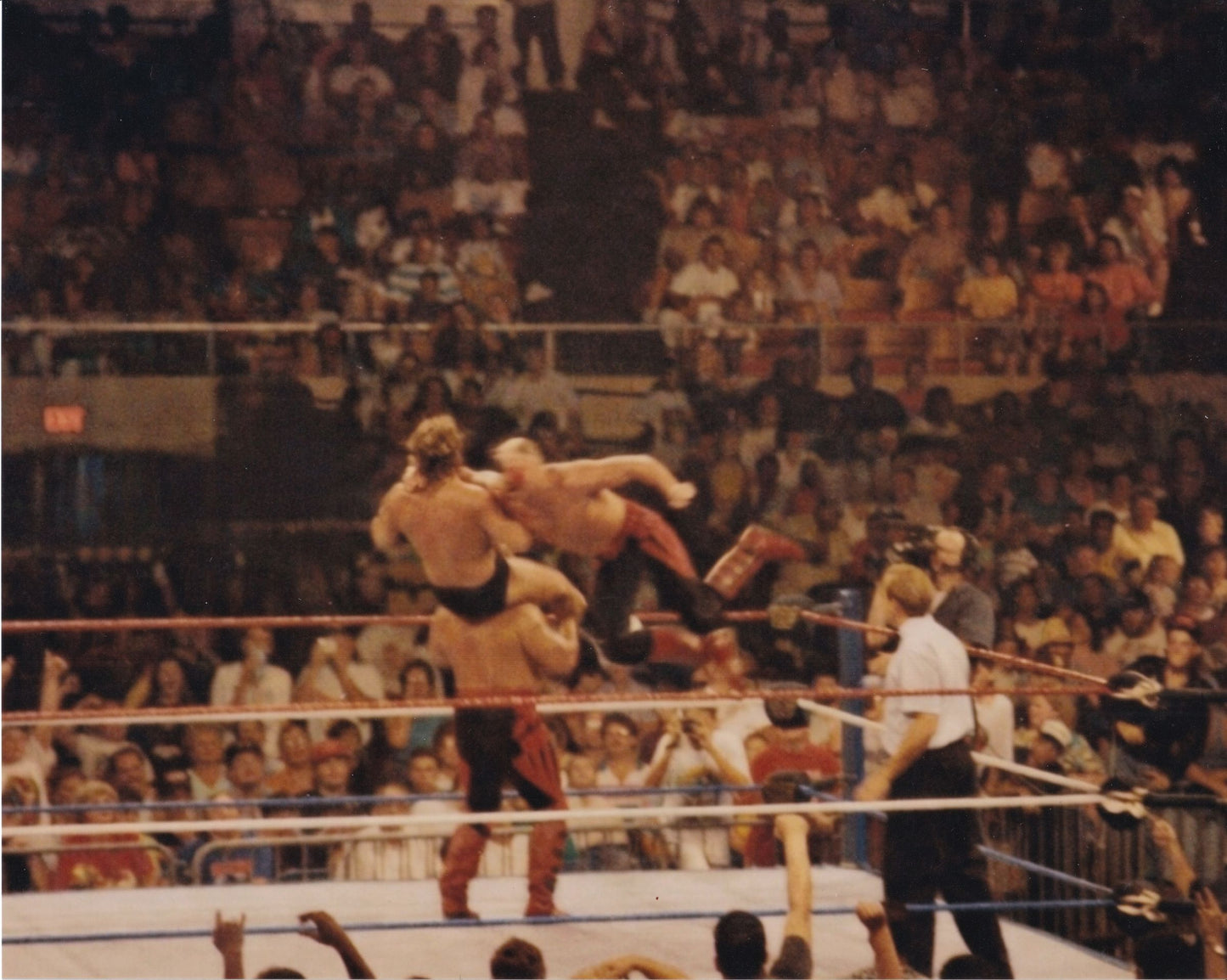 Road Warriors LOD WWF vintage wrestling photo Hawk Animal 8x10 arena action shot