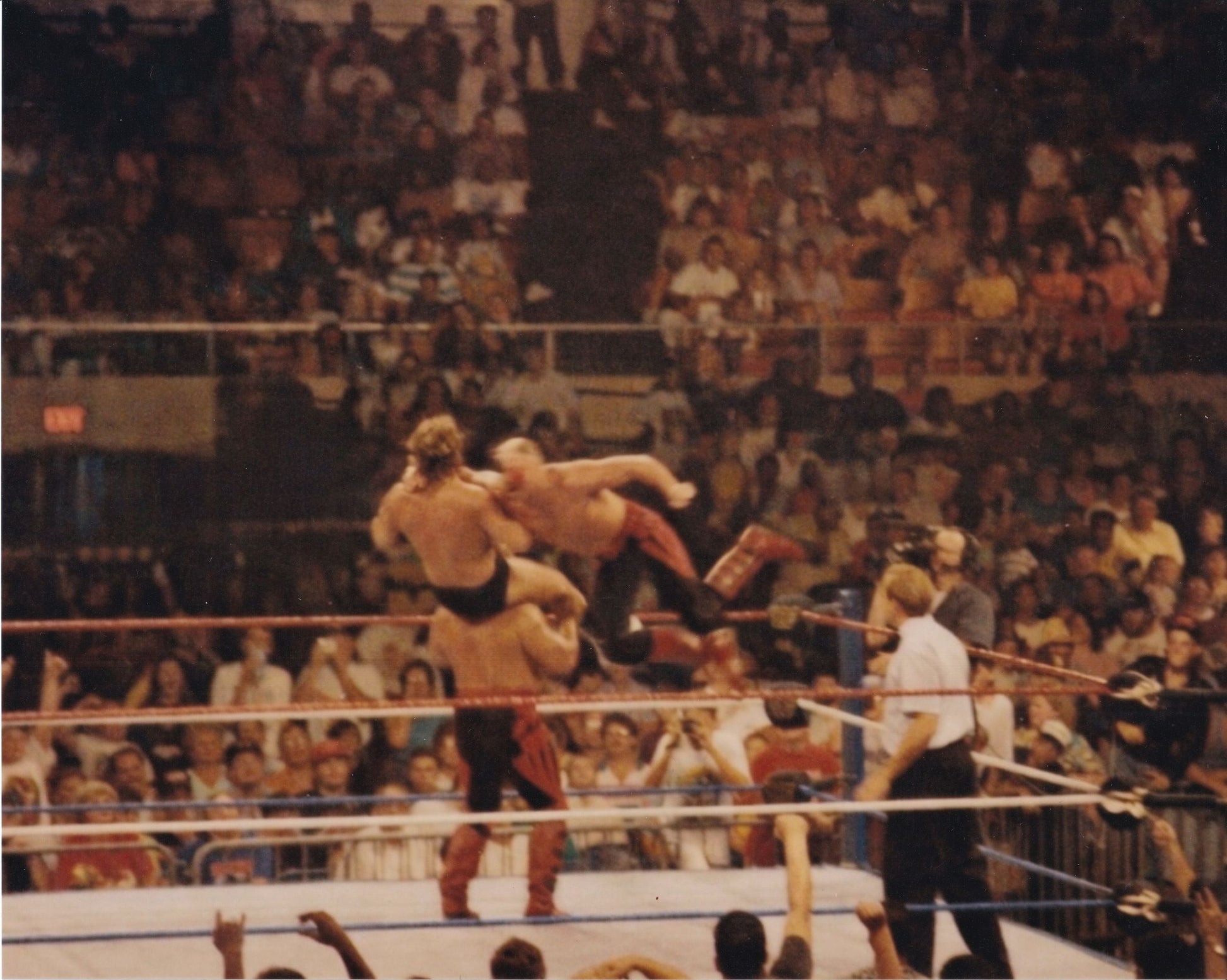 Road Warriors LOD WWF vintage wrestling photo Hawk Animal 8x10 arena action shot