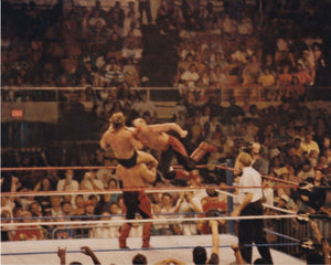 Descriptive image text