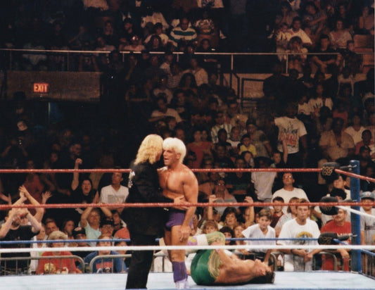 Ric Flair and Mr Perfect vs Tito Santana WWF SummerSlam Spectacular Nashville 1992 arena photo